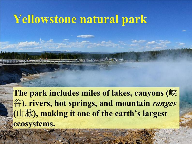 高中英语必修一Unit5 Into the wild Developing ideas 课件06