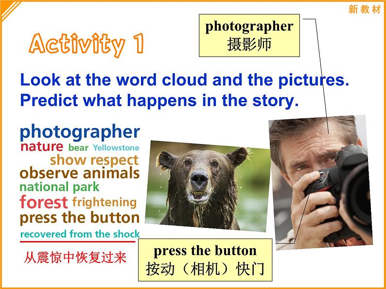 高中英语必修一Unit5 Into the wild Developing ideas 课件08