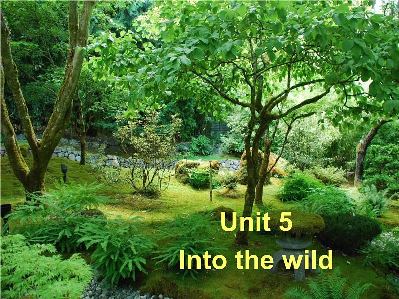 高中英语必修一Unit5 Into the wild Listening and Speaking 课件02