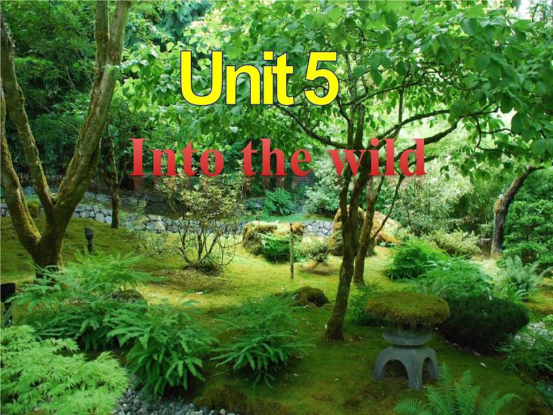 高中英语必修一Unit5 Into the wild Presenting ideas and Reflection 课件02