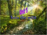 高中英语必修一Unit5 Into the wild Writing 课件