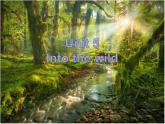 外研版（2019）高中英语必修一Unit5 Into the wild Understanding ideas 课件