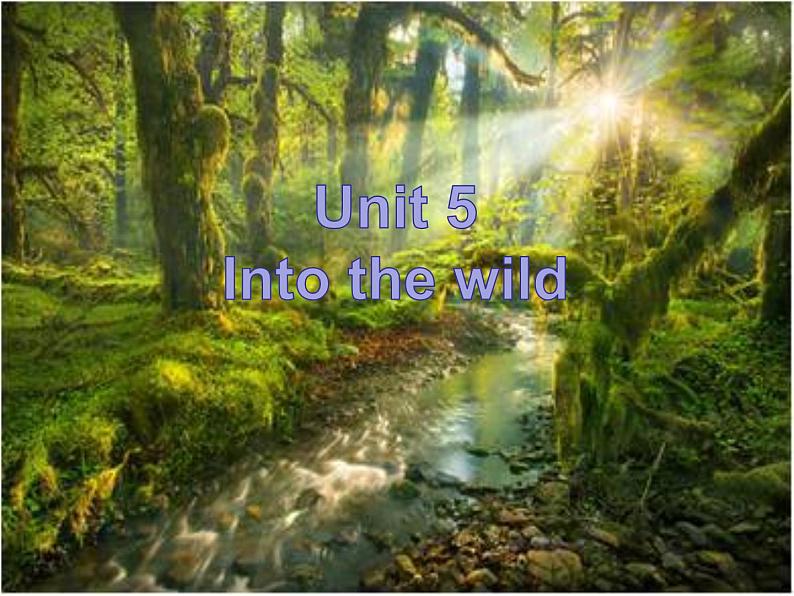 外研版（2019）高中英语必修一Unit5 Into the wild Understanding ideas 课件02