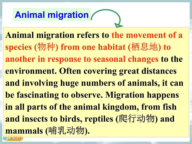 外研版（2019）高中英语必修一Unit5 Into the wild Understanding ideas 课件07