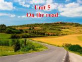 外研版（2019）高中英語(yǔ)必修二 Unit5 On the road Developing ideas 課件