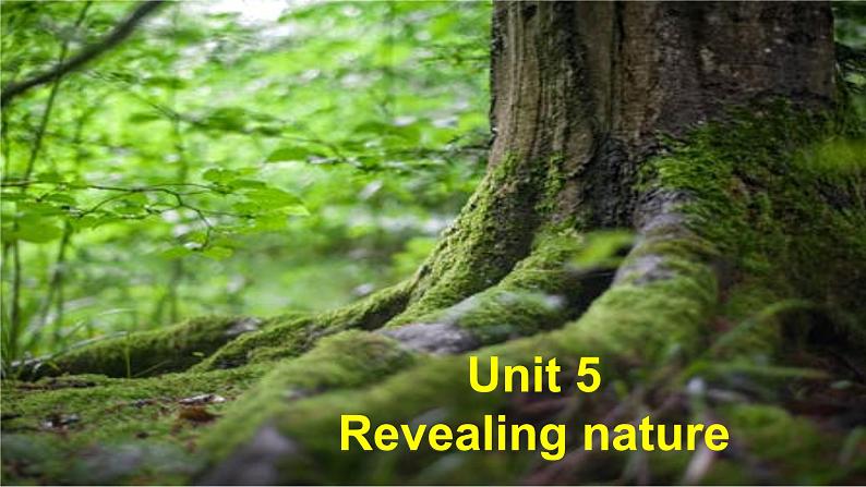 外研版（2019）高中英语选择性必修一 Unit 5 Revealing nature Developing ideas 课件02