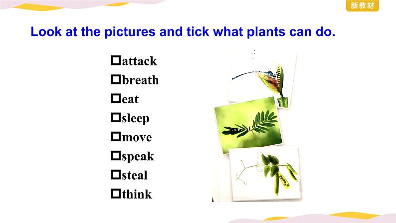 外研版（2019）高中英语选择性必修一 Unit 5 Revealing nature Developing ideas 课件08