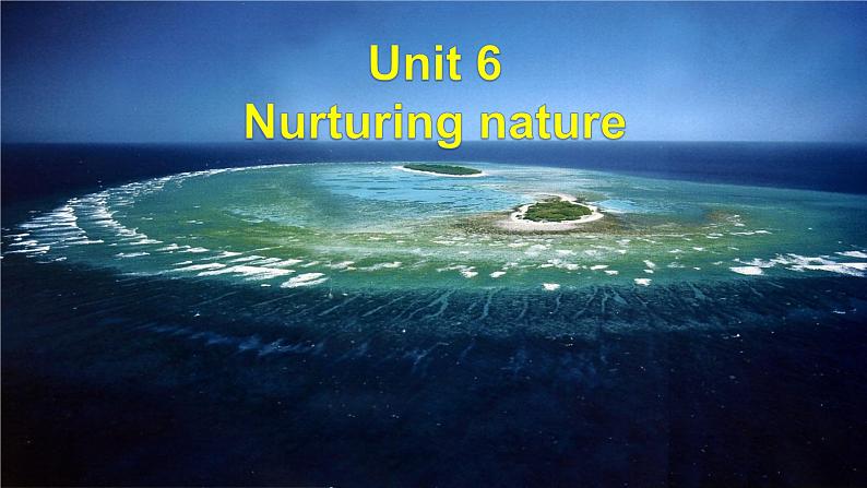 外研版（2019）高中英语选择性必修一 Unit 6 Nurturing nature Developing ideas 课件02