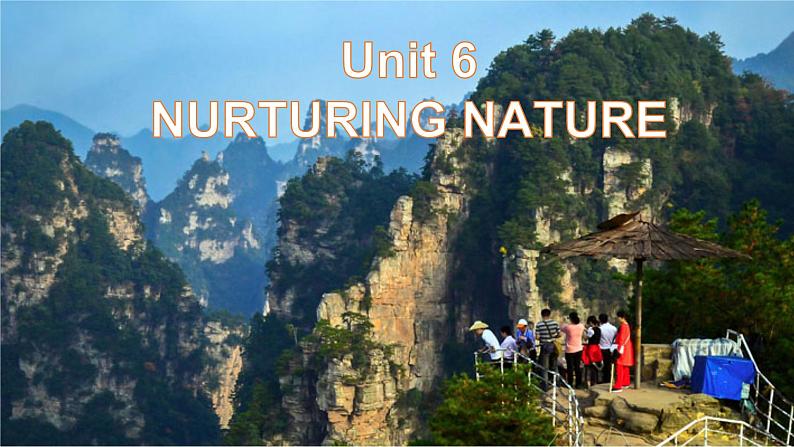 外研版（2019）高中英语选择性必修一 Unit 6 Nurturing nature Presenting ideas 课件02