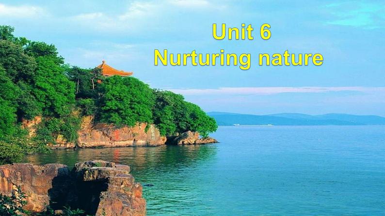 外研版（2019）高中英语选择性必修一 Unit 6 Nurturing nature Writing 课件02