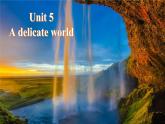外研版（2019）高中英语选择性必修二 Unit 5 A delicate world Presenting ideas 课件