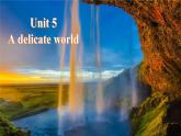 外研版（2019）高中英语选择性必修二 Unit 5 A delicate world Starting out 课件