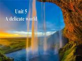 外研版（2019）高中英语选择性必修二 Unit 5 A delicate world Understanding ideas 课件