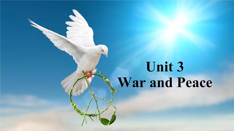 外研版（2019）高中英语选择性必修三 Unit 3 War and peace Presenting ideas 课件02