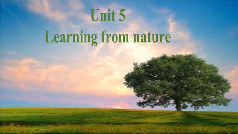 外研版（2019）高中英语选择性必修三 Unit 5 Learning from nature Grammar 课件第2页