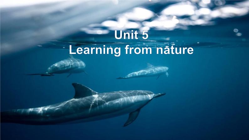 外研版（2019）高中英语选择性必修三 Unit 5 Learning from nature Integrated skills 课件02