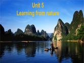 外研版（2019）高中英语选择性必修三 Unit 5 Learning from nature Presenting ideas 课件