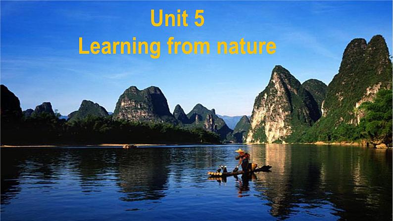 外研版（2019）高中英语选择性必修三 Unit 5 Learning from nature Presenting ideas 课件02