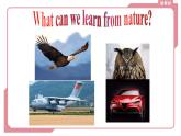 外研版（2019）高中英语选择性必修三 Unit 5 Learning from nature Starting out 课件
