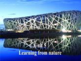 外研版（2019）高中英语选择性必修三 Unit 5 Learning from nature Understanding ideas 课件