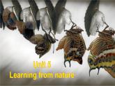 外研版（2019）高中英语选择性必修三 Unit 5 Learning from nature Writing 课件