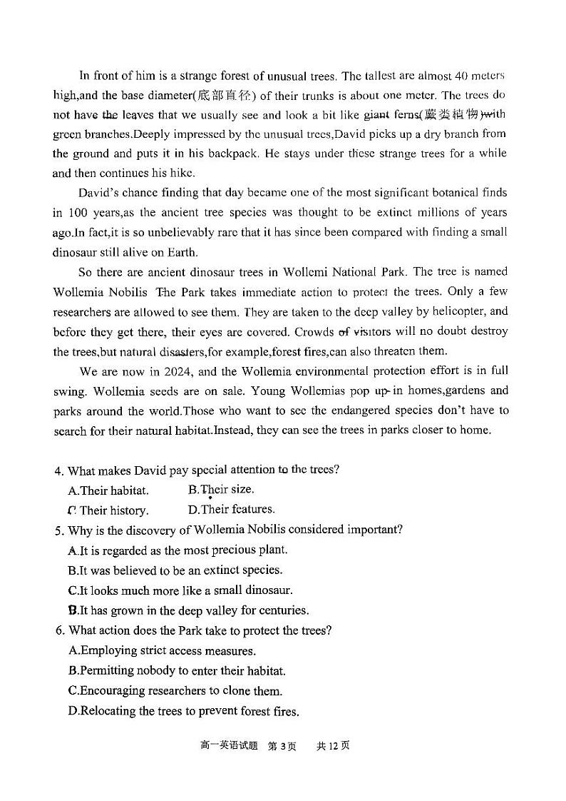 广东省广州市番禺区2023-2024学年高一下学期期末考试英语试题第3页
