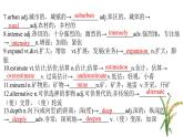 新人教版高中英語(yǔ)選擇性必修一Unit5詞匯課件