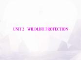 高考英语一轮复习必修第二册UNIT2 WILDLIFE PROTECTION课件