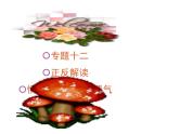 高考英语语法复习课件【12】第十二讲 情态动词和虚拟语气