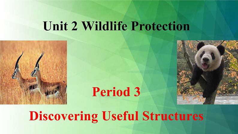 人教版高中英语必修二Unit2Wildlife Protection-Discovering Useful Structures课件第1页