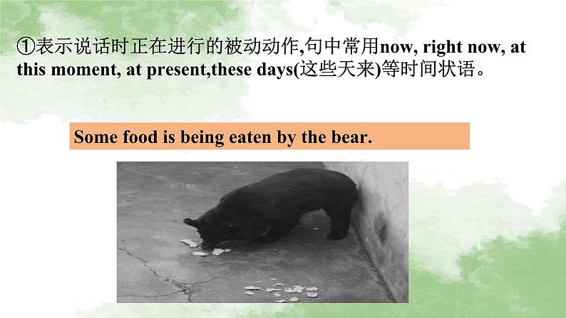 人教版高中英语必修二Unit2Wildlife Protection-Discovering Useful Structures课件第8页