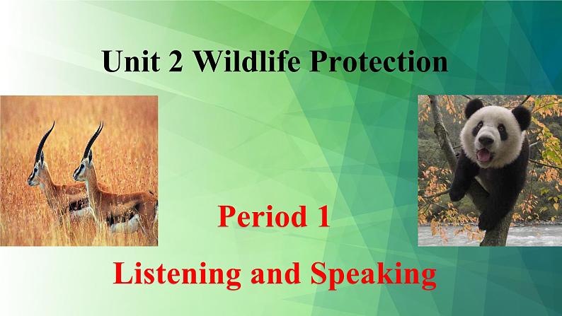 人教版高中英语必修二Unit2Wildlife Protection-Listening and Speaking课件+教案01