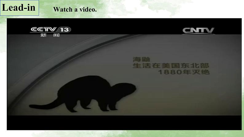 人教版高中英语必修二Unit2Wildlife Protection-Listening and Speaking课件+教案04