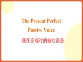 人教版（2019）高一英語必修第二冊 Unit 3《The Internet 第3課時 Discovering useful structures Grammar語法 現(xiàn)在完成時的被動語態(tài)》課件+分層作業(yè)