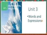 人教版（2019）高中英语选择性必修第三册 Unit 3 《Words and Expressions 》重点单词详解课件