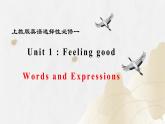 新上教版高中英语选择性必修第一册 Unit 1 Words and Expressions 课件+分层练习
