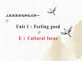新上教版高中英语选择性必修第一册 Unit1 Part E ：Cultural focus 课件+分层练习）