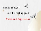 上教版（2020）高中英语 选择性必修第一册 Unit 1 Words and Expressions（课件 分层练习）