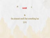 上教版（2020）高中英语 选择性必修第一册 Unit 4 Part Words and Expressions（课件 练习）