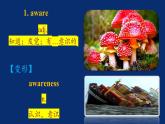 人教版（2019）高一英语 必修第二册 Unit 2 Wildlife Protection Period 1 单元重点单词、句型及短语讲解（课件+分层练习）