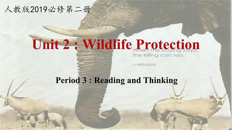 人教版（2019）高一英语 必修第二册 Unit 2 Wildlife Protection Period 3 Reading and Thinking （课件+分层练习）01