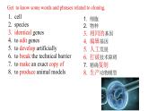 2024-2025學(xué)年北師大版（2019）選擇性必修第三冊(cè)  Unit 9 Human Biology  Lesson 1 To Clone or Not to Clone課件