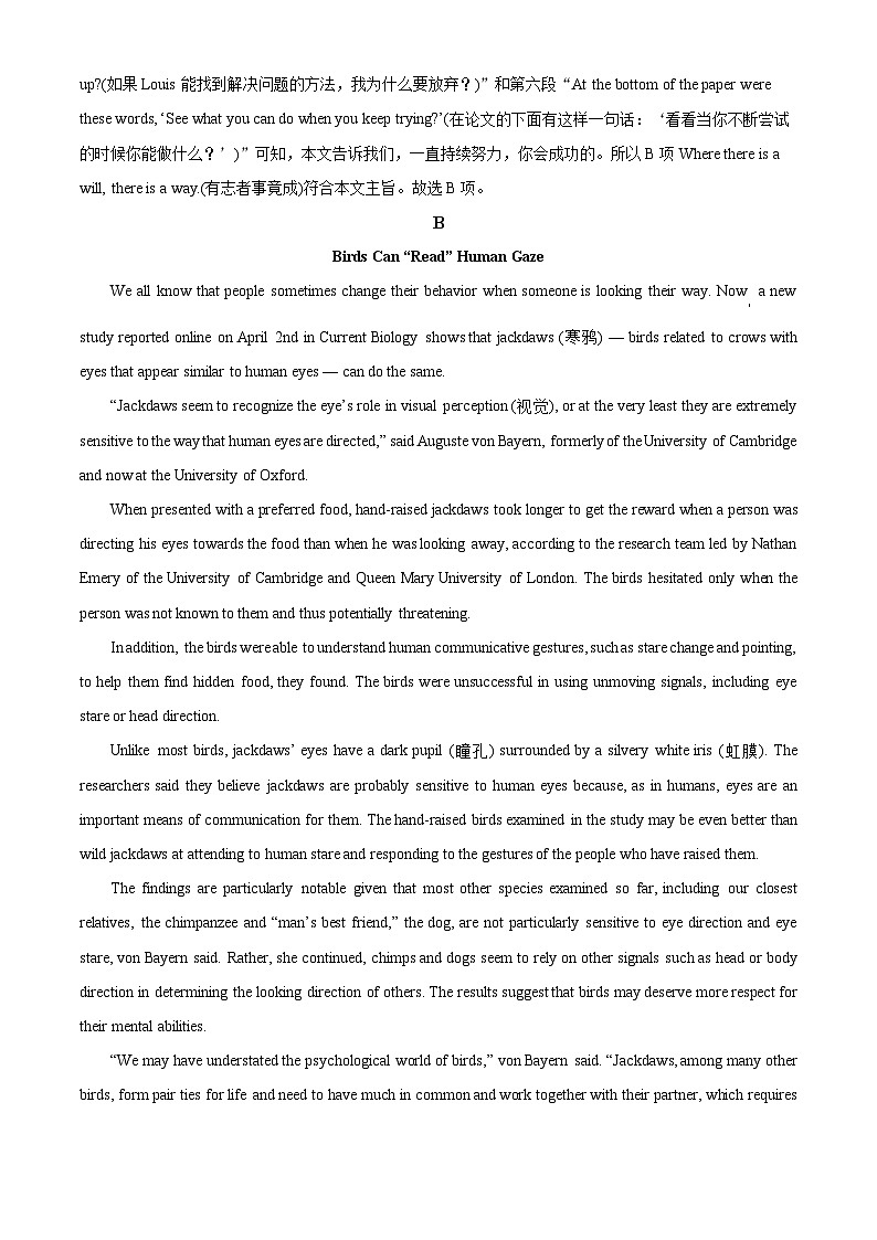 河南省驻马店市新蔡县第一高级中学2024-2025学年高二上学期9月月考英语试题  Word版含解析第3页
