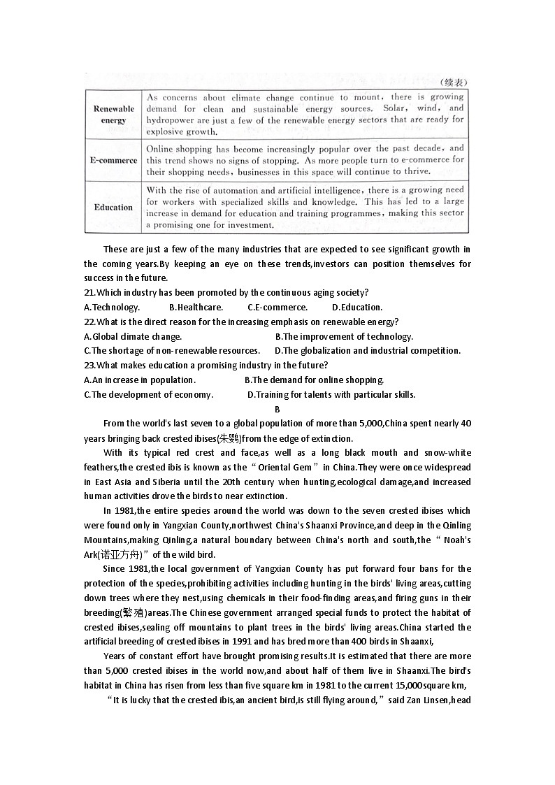 陕西省2024-2025学年新高考高三上学期阶段性检测卷(二) 英语试题第3页