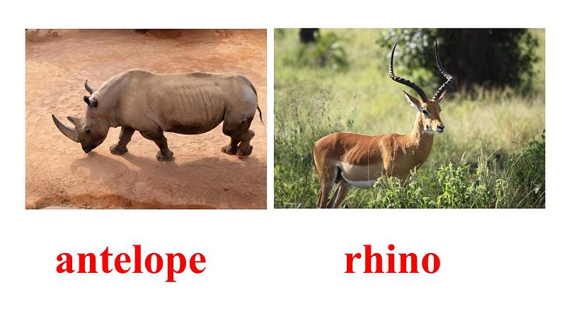 人教版必修第二册Unit2 Listening and Speaking 精品课件06