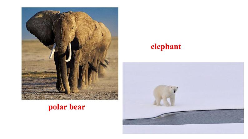 人教版必修第二册Unit2 Listening and Speaking 精品课件08