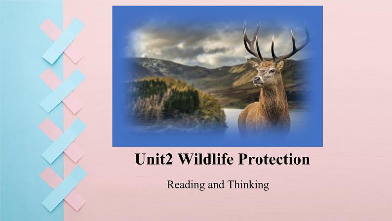 人教版必修第二册Unit2 Reading and Thinking 活动观课件01