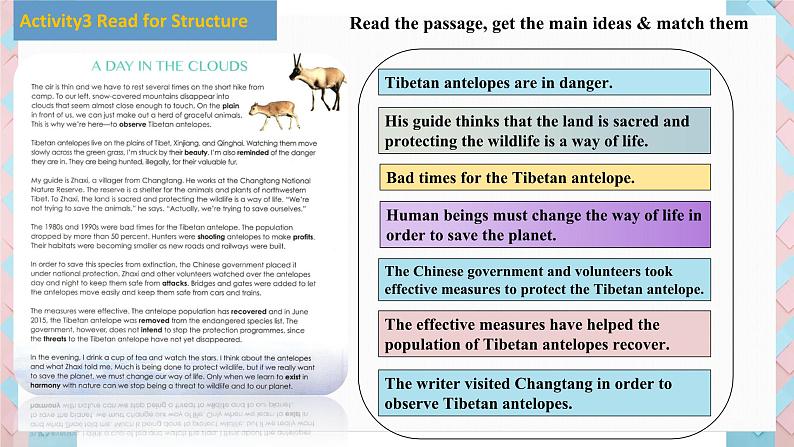 人教版必修第二册Unit2 Reading and Thinking 活动观课件08