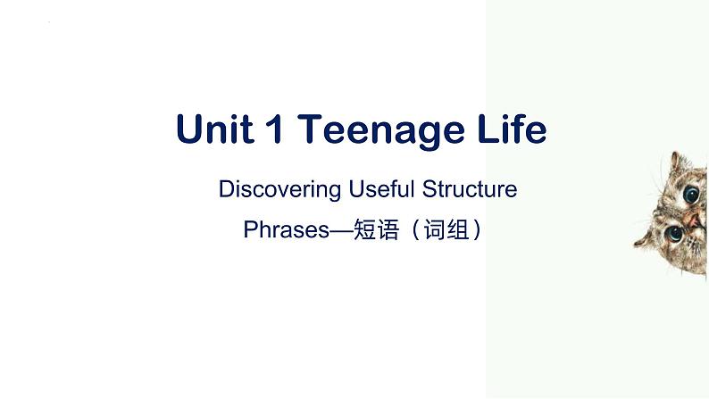 人教必修一Unit 1 语法课-优质课件（精简版）第1页