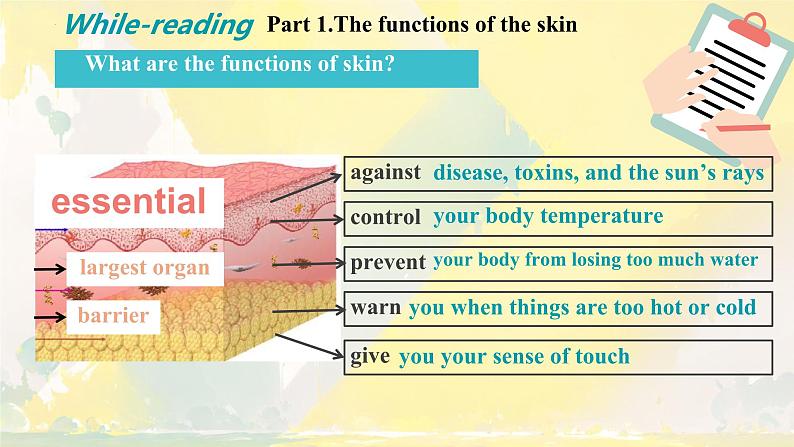 Unit5 First Aid Reading and Thinking 课件-2024-2025学年高中英语人教版（2019）选择性必修第二册第8页